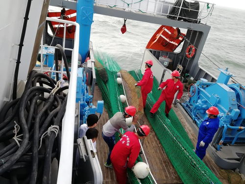 黃海水產研究所 北斗 號調查船 中漁科102 號調查船圓滿完成任務返航