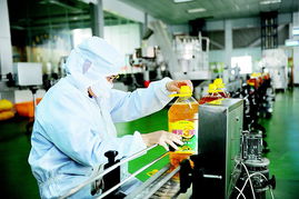 菜籽油生產(chǎn)線場景