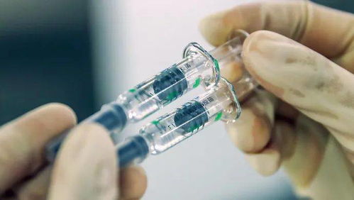 九個(gè)市民關(guān)心的疫苗問題，電力科研專家來解答